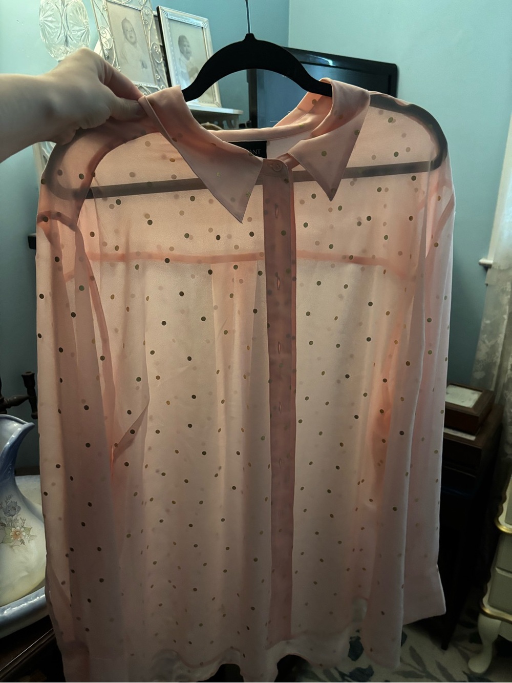 Sheer Pink Polka Dot Button-Up Blouse